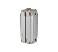 RIEGLER ACP 115358-13.DM.50010 Compact Cylinder Double-Acting Piston Diameter 50 Stroke 10 G 1/8 Pack of 1