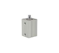 RIEGLER ACQ 115048-12.DMI.12005 Short Stroke Cylinder Double-Acting Piston Diameter 12 Stroke 5 M5 x 0.8 Pack of 1