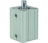 RIEGLER ACQ 115056-12.DMI.12050 Short Stroke Cylinder Double-Acting Piston Diameter 12 Stroke 50 M5 x 0.8 Pack of 1