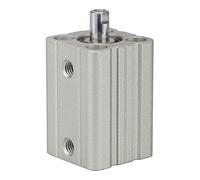 RIEGLER ACQ 115058-12.DMI.16010 Short Stroke Cylinder Double-Acting Piston Diameter 16 Stroke 10 M5 x 0.8 Pack of 1
