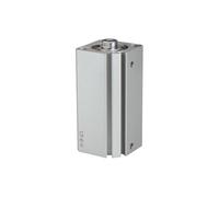 RIEGLER ACQ 115069-12.DMI.20010 Short Stroke Cylinder Double-Acting Piston Diameter 20 Stroke 10 M5 x 0.8 Pack of 1