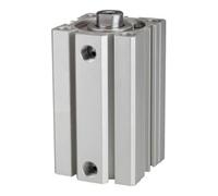 RIEGLER ACQ 115132-12.DMI.50050 Short Stroke Cylinder Double-Acting Piston Diameter 50 Stroke 50 G 1/4 Pack of 1