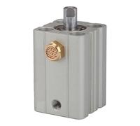 RIEGLER ASQ 115166-12.EM.12005 Single Action Short Lifting Cylinder Piston Diameter 12 Stroke 5 Stroke M5 x 0.8 Pack of 1