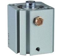 RIEGLER ASQ 115174-12.EM.20005 Short Stroke Cylinder Single Acting Piston Diameter 20 Stroke 5 M5 x 0.8 Pack of 1