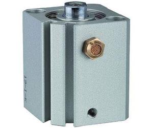 RIEGLER ASQ 115174-12.EM.20005 Short Stroke Cylinder Single Acting Piston Diameter 20 Stroke 5 M5 x 0.8 Pack of 1