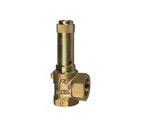 RIEGLER - ECK Safety Valve G 2, Adjust The Pressure 10 Bar Ri 221.08 - 10.0
