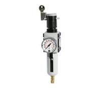 RIEGLER FU 823-1 Futura Filter Regulator with Polycarbonate Container, Protective Basket and Pressure Gauge, Fully Automatic, Size 2, 0.1-1 Bar, G 3/8 Inch