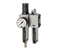 RIEGLER FU Futura 611-M-1 Maintenance Unit Two-Piece with Metal Container, Visible Tube and Pressure Gauge, Fully Automatic, Size 1, 0.1-1 Bar, G 1/4 Inch