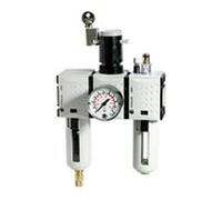 RIEGLER FU Futura 638-4 Maintenance Unit 3-Piece with Polycarbonate Container, Protective Basket and Pressure Gauge, Fully Automatic, Size 4, 0.2-4 Bar, G 1 Inch