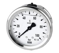 Riegler G1 / 4 Reset Glycerin 63mm Class 0-250bar 1.6 Stainless Steel Housing