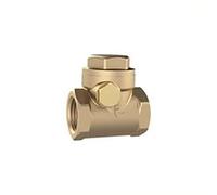 RIEGLER RK114MSE Check Valve DN 32 Brass Soft Sealing G 1 4 PN 10 Bar