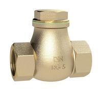 RIEGLER RK1RG Check Valve DN 65, Brass, G 2 1/2, PN Max. 8 bar