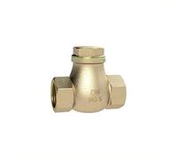 RIEGLER RK212RG Check Valve DN 50 Brass G 2 PN Max. 10 bar