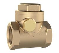 RIEGLER RK2MSE Check Valve DN 50 Brass Soft Sealing G 2 PN Max. 10 bar