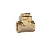 RIEGLER RK34MSE Check Valve DN 20 Brass Soft Sealing G 3/4 PN Max. 16 bar