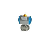 Riegler Stainless Steel Ball Valve Double Effect Cylinder Rp 1/2 dn 15