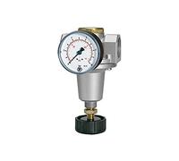 RIEGLER Standard 100830-637.55 D Pressure Regulator Including Mano, BG 4, G 1 1/2, 0.5-16 Bar, Pack of 1