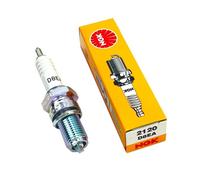 Rieju TANGO 250 2012 2012 2014NGK Spark Plug D8EA
