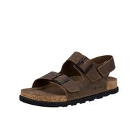 Rieker Men's Mule Sandal - Brown | 21152-25 25 43