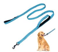 Rierdge Heavy Duty Leash with Double Handle, 1" Wide 6FT Traction Rope, Nylon Dog Training Leashfor Large Pulling Dogs, Blue