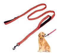 Rierdge Heavy Duty Leash with Double Handle, 1" Wide 6FT Traction Rope, Nylon Dog Training Leashfor Large Pulling Dogs, Red