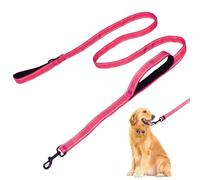 Rierdge Heavy Duty Leash with Double Handle, 1" Wide 6FT Traction Rope, Nylon Dog Training Leashfor Large Pulling Dogs, Pink