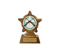Rifle Shooting Trophy Award Premier Star Antique Gold 120mm Target Shooting Heavy Resin Free Engraving -troshow1-td