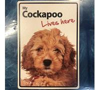 RIFOSA 12"x8" Dog Sign My Cockapoo Lives Here Metal Sign