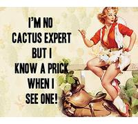 RIFOSA 12"x8" I'm No Cactus Expert But I Know A Prick Metal Sign Wall Plaque