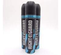 Right Guard Cool Antiperspirant Deodorant 250ml