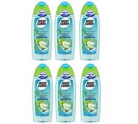 RIGHT GUARD Shower Gel Coconut Water 250ml