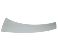 Right Headlight Strip Fits: FIAT DUCATO 06/07-14/08