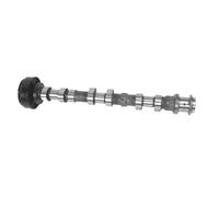 Right Side Exhaust Camshaft 5048030AD Compatible With 2016-2024 Ram 3.6L Engine