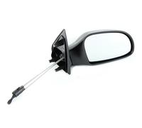 TYC 305-0029 Wing mirror