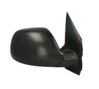 BLIC 5402-04-1623340P Wing mirror