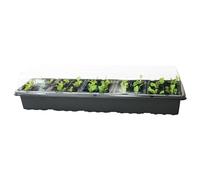 rightclick 5-Tray Windowsill Greenhouse Seed Starter Kit Set with 30 Cells/Water Tray | Indoor & Outdoor Windowsill Planter Box | Plastic Seedling Starter Growing Tray for Greenhouse & Gardens.