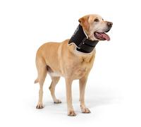 Rigid Anti-lick Pet Collar Ø 35-45 cm | Size S - BT Neck Black Eco