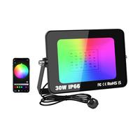 RIGIDON 1X 30W smart Outdoor RGB led floodlight APP Remote Control IP66