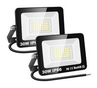 RIGIDON 2 Pcs Outdoor Flood LED Work Light, 3000 Lumens 30W Floodlight, Daylight Cold White Security Lights for Garden Yard Lawn Basketball Football Court Patio Landscape, IP66 Waterproof 6000K