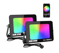 RIGIDON 2X 30W smart Outdoor RGB led floodlight APP Remote Control IP66 | plug, 175V-265V, dimmable colour changing, for garden courtyard landscap stage, Halloween Christmas decoration, waterproof
