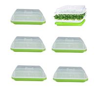 Rigute 6 Pack Seed Sprouting Trays with Lid,32cm x 26cm Seedling Germination BPA Free Large Capacity Healthy Hydroponic Propagator for Growing Mung Beans, Alfalfa, Wheat Grass