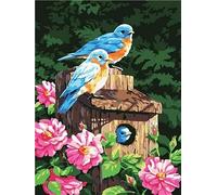 RigWig DIY Paint by Numbers, Three Little Birds Oil Painting Kits for Adults Without Frame, On Canvas, DIY Acrylic Pigment Oil Painting for Home Wall Decor 40x50cm