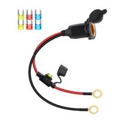 RIIEYOCA 12V/24V Cigarette Lighter Socket Extension Cable, Fixed Thread Car Cigarette Lighter Female Socket to O Ring Terminal Cord with Waterproof Cover and 20A Fuse for Cars,Boats, etc.(0.3M)
