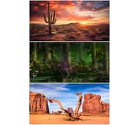 Riivvdise 3 Pack Reptile Habitat Background Sunset Desert Terrarium Background Fantasy Forest Aquarium Background Gobi Sunshine Cactus Stone Green Fern Lizard Tank Terrarium Background 36x18in