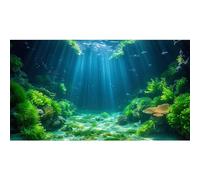 Riivvdise Aquarium Background Aquatic Plants Soft Algae Terrarium Backdrop Underwater World Fish Rock with Moss Sunlight Rays Fish Tank Background Aquarium Wallpaper Poster Decor Vinyl 60x24in