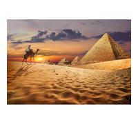 Riivvdise Egyptian Pyramids Aquarium Background Sunset Desert Pyramids Terrarium Background Bedouin on Camel Near Pyramids Reptile Habitat Background Sunset Pyramids View Fish Tank Background 72x24in