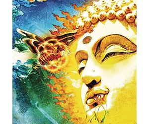 Rikard Sjablom's Gungfly - On Her Journey To The Sun [CD]