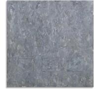 Rikin Liuff JASPER JOHNS Posters《 Gray Rectangles 》Canvas Wall Art JASPER JOHNS Prints JASPER JOHNS Painting Abstract Picture for Home Decor 40x40cm No Frame