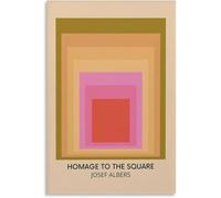 Rikin Liuff Josef Albers Poster Abstract Wall Art Josef Albers Canvas Prints Josef Albers Painting Josef Albers Picture for Home Wall Decor 50x71cm No Frame