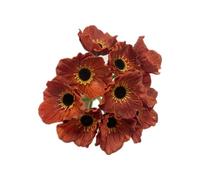 Rikyo 10 Stem 11inch Bouquets Artificial Flowers Poppy Flowers,Faux Anemone PU Fake Wild Flowers for Kitchen Table Centerpiece Vase,Home Wedding Holding Flowers Backdrop Arch Wall (Brown)